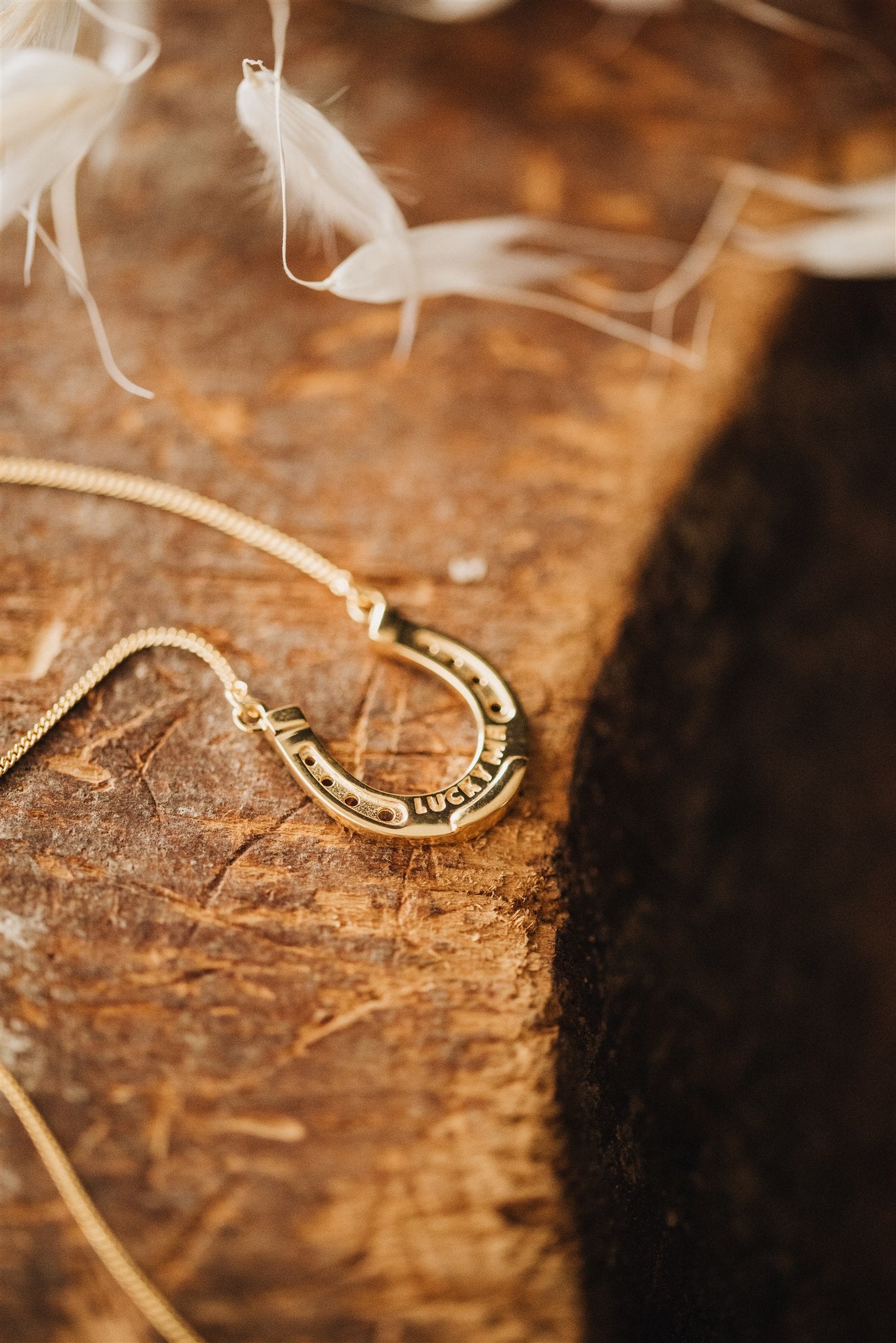 Lucky Horse Shoe Necklace